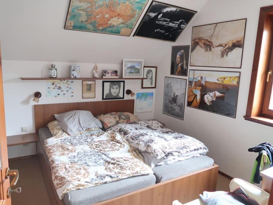 Byt 4+kk v klidné části obce Bedřichov Exteriér fotografie